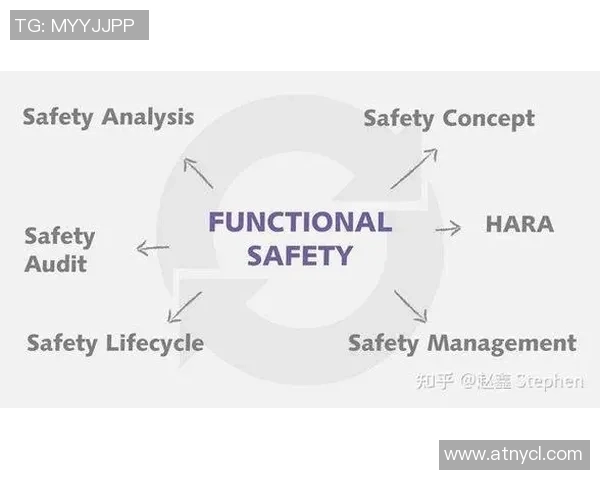 成都排球队技术分析与战术创新的深度探讨与展望